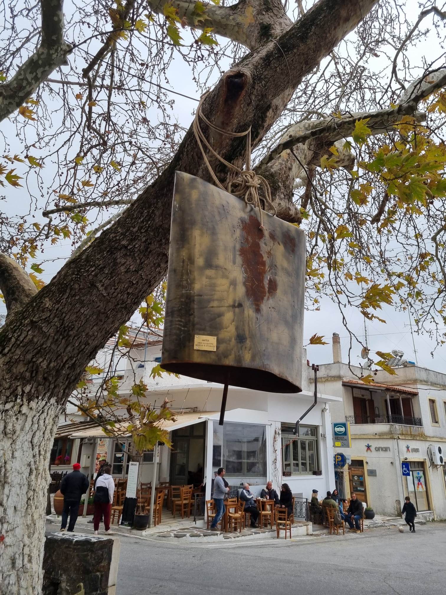 333996866 1550370935773126 1965769577054145661 n